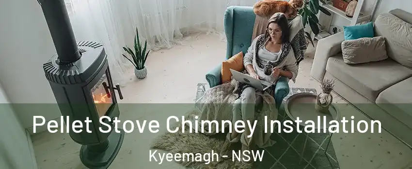 Pellet Stove Chimney Installation Kyeemagh - NSW