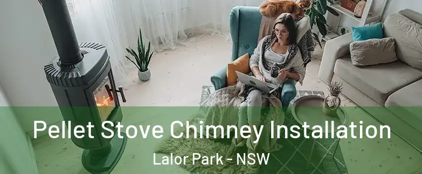 Pellet Stove Chimney Installation Lalor Park - NSW