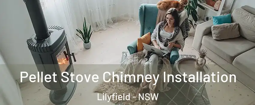 Pellet Stove Chimney Installation Lilyfield - NSW
