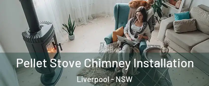 Pellet Stove Chimney Installation Liverpool - NSW