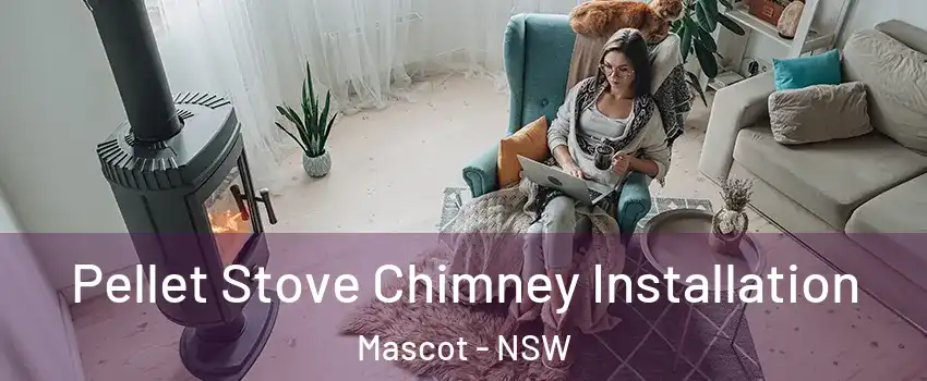 Pellet Stove Chimney Installation Mascot - NSW