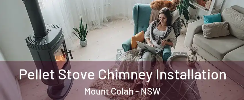 Pellet Stove Chimney Installation Mount Colah - NSW
