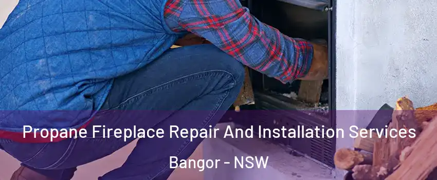 Propane Fireplace Repair And Installation Services Bangor - NSW
