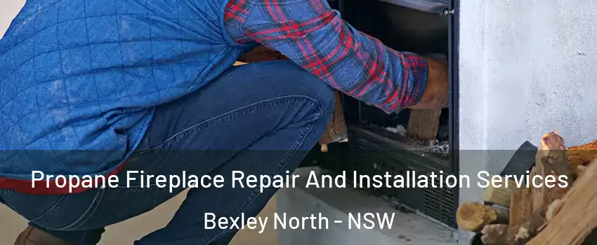 Propane Fireplace Repair And Installation Services Bexley North - NSW