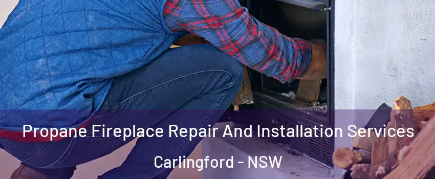 Propane Fireplace Repair And Installation Services Carlingford - NSW