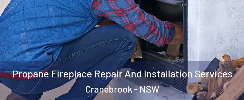 Propane Fireplace Repair And Installation Services Cranebrook - NSW