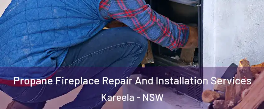 Propane Fireplace Repair And Installation Services Kareela - NSW