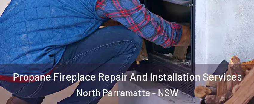 Propane Fireplace Repair And Installation Services North Parramatta - NSW