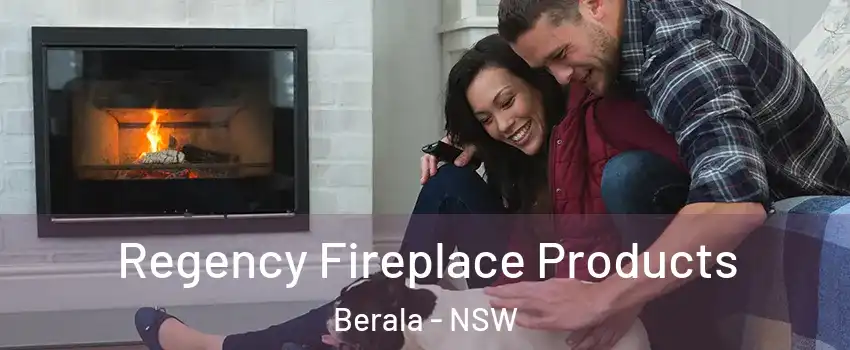 Regency Fireplace Products Berala - NSW