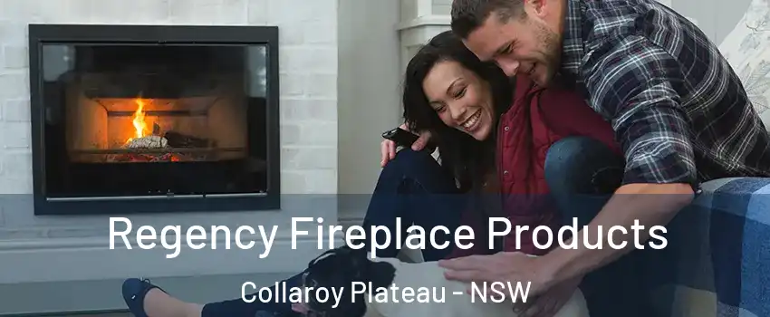 Regency Fireplace Products Collaroy Plateau - NSW