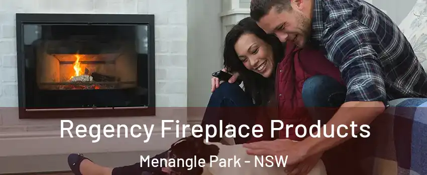Regency Fireplace Products Menangle Park - NSW