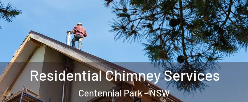Residential Chimney Services Centennial Park - NSW