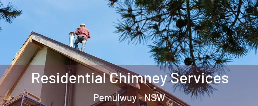 Residential Chimney Services Pemulwuy - NSW