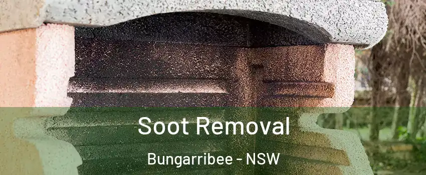 Soot Removal Bungarribee - NSW