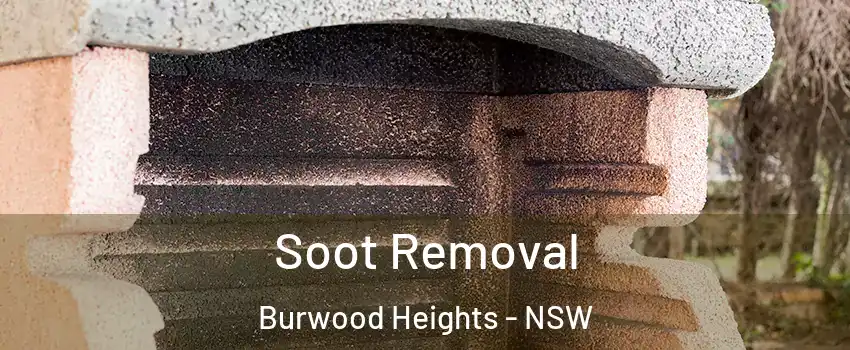 Soot Removal Burwood Heights - NSW