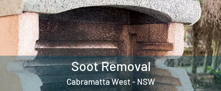 Soot Removal Cabramatta West - NSW