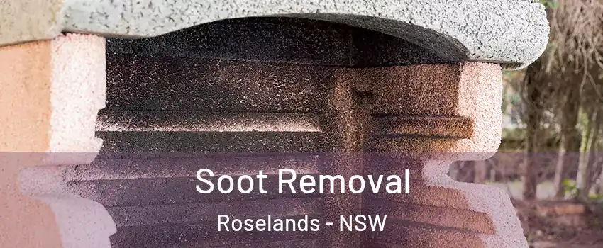 Soot Removal Roselands - NSW