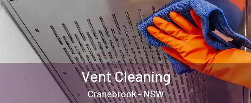 Vent Cleaning Cranebrook - NSW