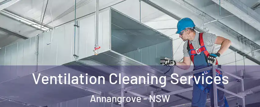 Ventilation Cleaning Services Annangrove - NSW
