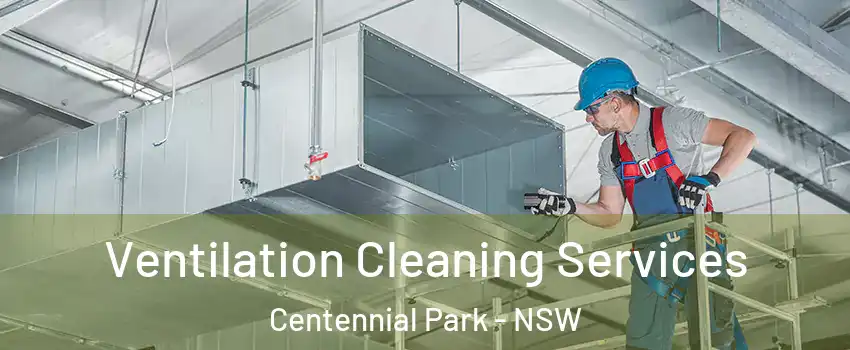 Ventilation Cleaning Services Centennial Park - NSW