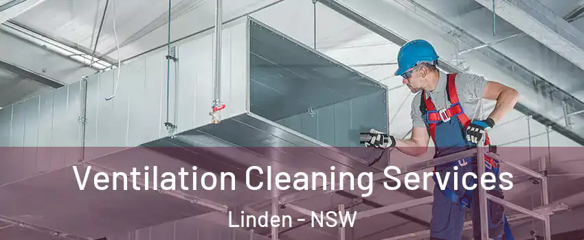 Ventilation Cleaning Services Linden - NSW