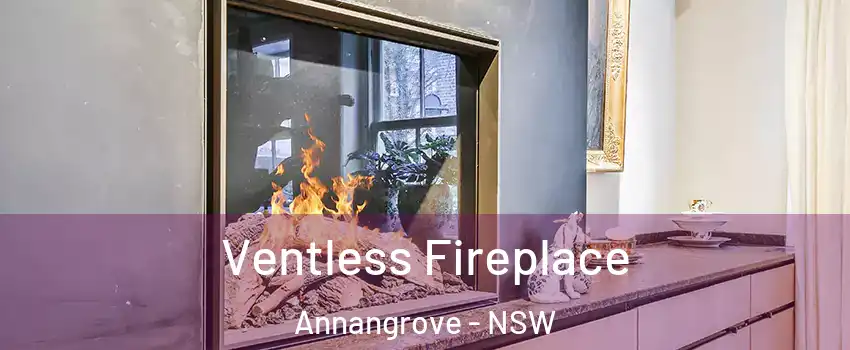 Ventless Fireplace Annangrove - NSW