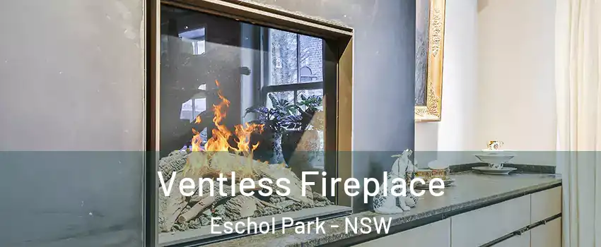 Ventless Fireplace Eschol Park - NSW