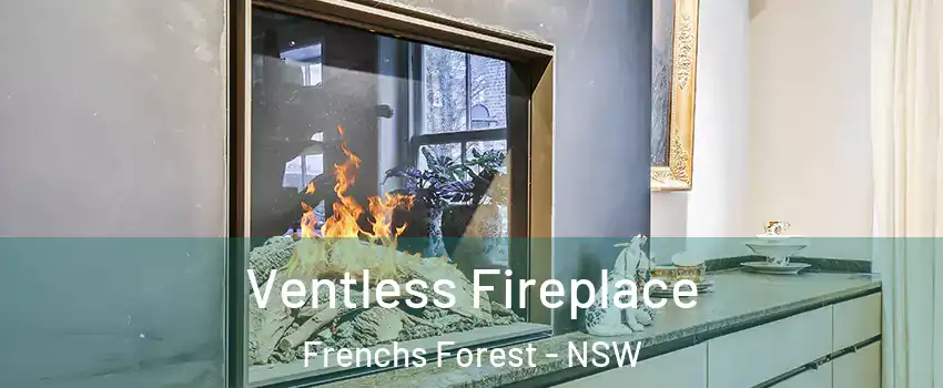 Ventless Fireplace Frenchs Forest - NSW